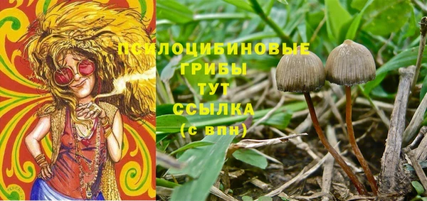 метамфетамин Белокуриха