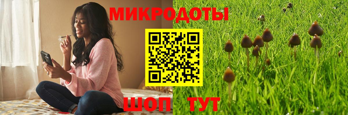 Галлюциногенные грибы Psilocybine cubensis  Галлюциногенные грибы мухоморы  Реутов  Вход с VPN 